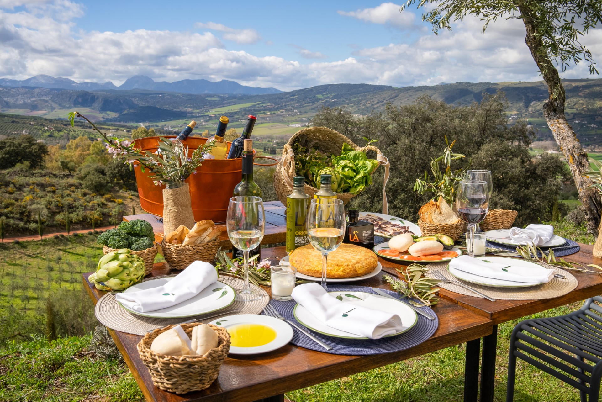 Guided visit and olive oil tasting in Ronda in Cortijo La Organic!